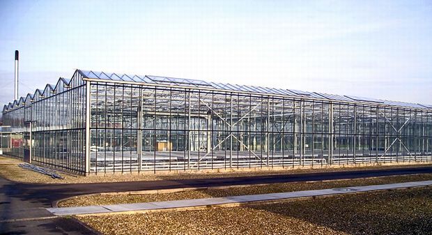イギリスにおける施設園芸の技術開発機関、LED光源・多段式を採用した植物工場が稼働