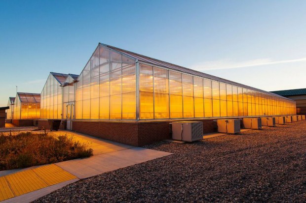 ノース・ダコタ州立大学が約40億円にて植物工場・研究施設を完成