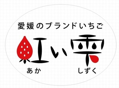 愛媛県による新品種「紅い雫」を開発、高級イチゴとして11月下旬より出荷予定