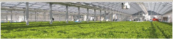 大成建設などの出資を受けて設立したグランパ／太陽光利用型の栽培技術を改良し、生産効率の高いドーム型・回転方式の工場を開発