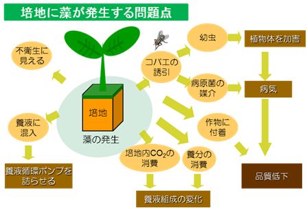日本ロックウール、防藻処理の新製品「カルチャーマットクリーン」を販売開始