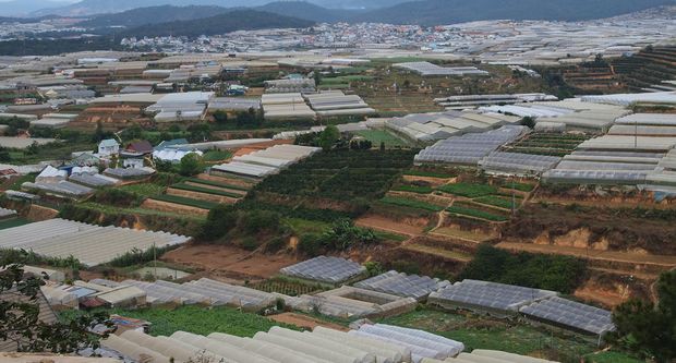 ベトナム市場を狙った日系企業による植物工場ビジネス