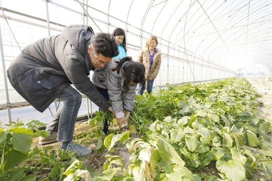 福井県、農家民宿体験を情報発信するホームページを開設