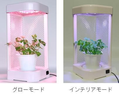 コイト電工、LED光源による小型植物工場キット「グリーンキャンドル」を販売