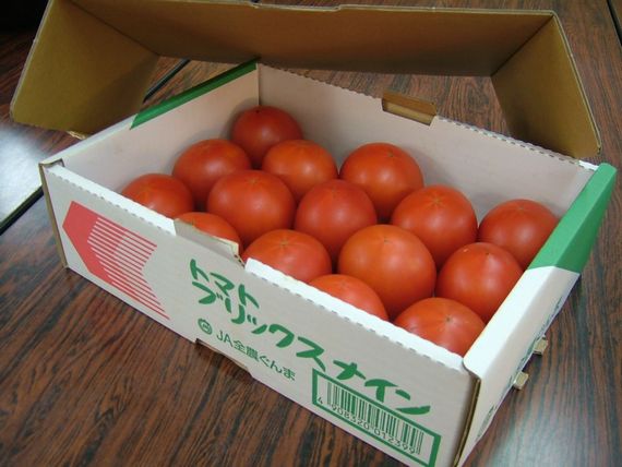 群馬県、根域制限栽培による高糖度トマトの出荷開始