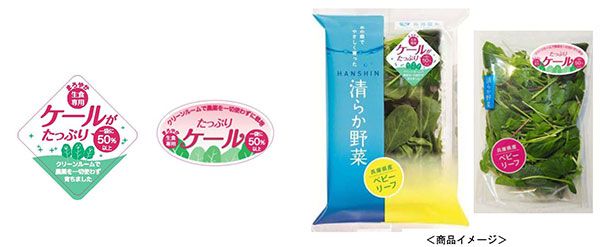 阪神野菜栽培所の植物工場、新たにケールのベビーリーフ商品を販売