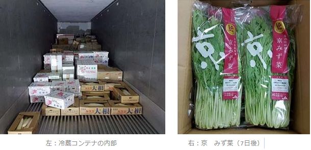 冷蔵コンテナを利用して、京都市中央市場から香港へ京野菜を試験輸出