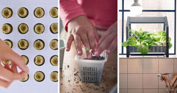 IKEAがオシャレな家庭用・植物工場キットを発表。誰でも栽培できるキッチングッズとして