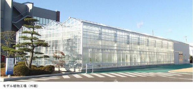 井関農機が先端技術実証用の植物工場を新設。複合環境制御・光合成自動診断システムなどを導入