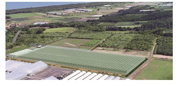 JFEエンジニアリング、新潟にて2haの太陽光利用型植物工場プラントを一括受注