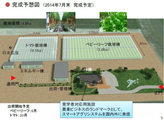 天然ガスを活用したトリジェネシステムにて、トマトやベビーリーフの通年栽培を北海道でも目指す（JFEエンジニアリング）