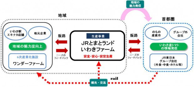 JR東日本、福島県いわき市に新法人を設立。植物工場を利用したトマト生産へ
