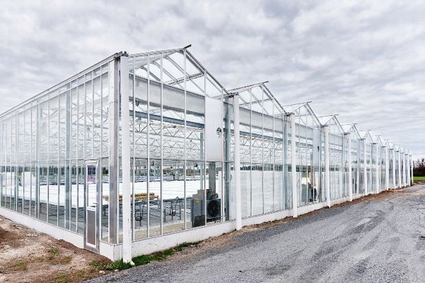 三菱樹脂、オーストラリア現地会社にて太陽光型植物工場が稼働