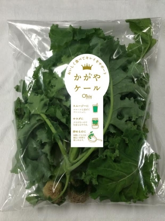 オイシックスがスープ専門店「Soup Stock Tokyo」と共同で水耕栽培ケールを活用したスープを販売