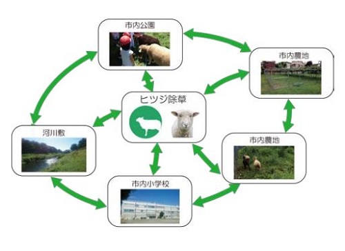 鹿島、狛江市にて循環型都市型農業の実証へ。ミミズ堆肥やコーヒーかすによるヒラタケ栽培など