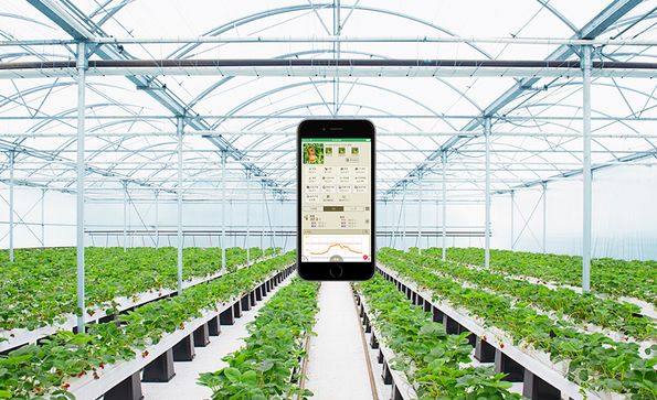 セラクがタキイ種苗と農業IoTサービス「みどりクラウド」販売代理店契約を締結