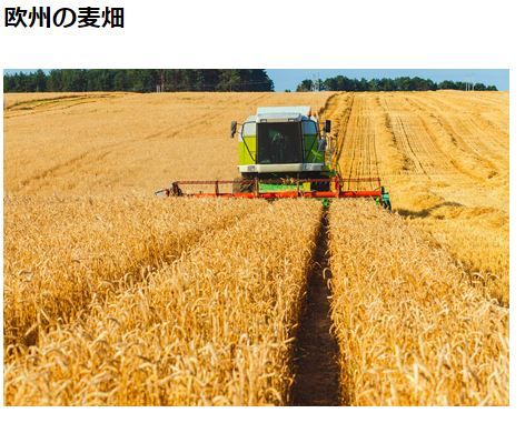 三井物産、米国モンサント社から麦用種子処理殺菌剤Latitude事業資産を買収