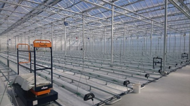 日本初の電解水設備を導入したオランダ式の太陽光利用型植物工場が高知県南国市にオープン