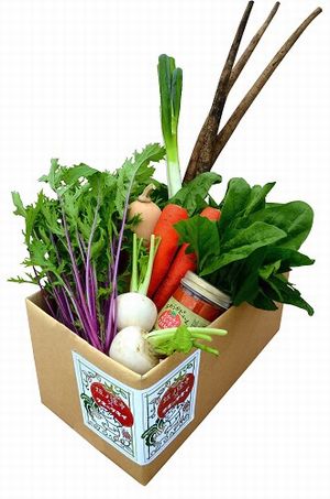 タキイ種苗、坂ノ途中の「お野菜BOX」で機能性成分を含んだ野菜セットを限定販売