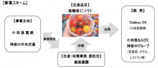小田急グループ・神奈川中央交通による共同アグリ事業。植物工場による高糖度ミニトマト生産へ