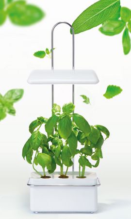 オリンピア照明、壁掛けタイプの新たな家庭用・植物工場キットを販売