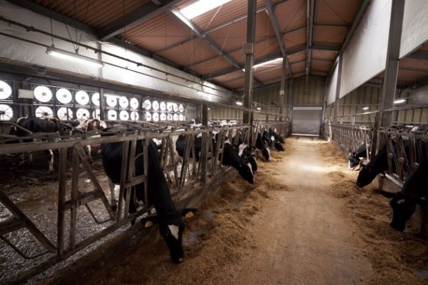 パナソニック、自動環境制御・次世代閉鎖型牛舎システムを本格導入。暑熱期の搾乳量減少抑制に効果