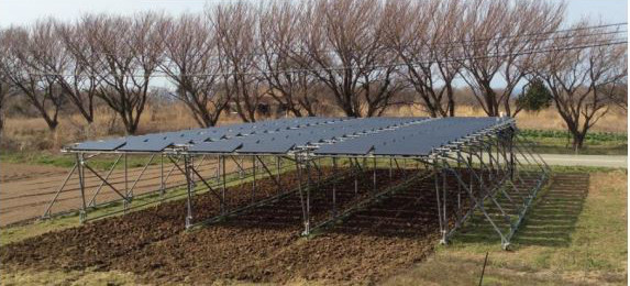 ソーラーフロンティアが佐渡島での「営農型発電」実証にCIS薄膜太陽電池パネルを提供