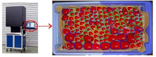 静岡県農林技術研究所が画像処理装置の開発により、イチゴのパック詰めを効率化