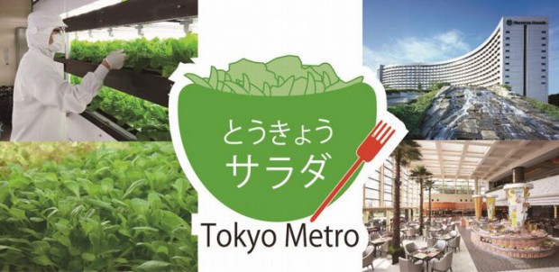 東京メトロによる植物工場野菜、安浦市のシェラトンホテルなどのビュッフェ・メニューに採用