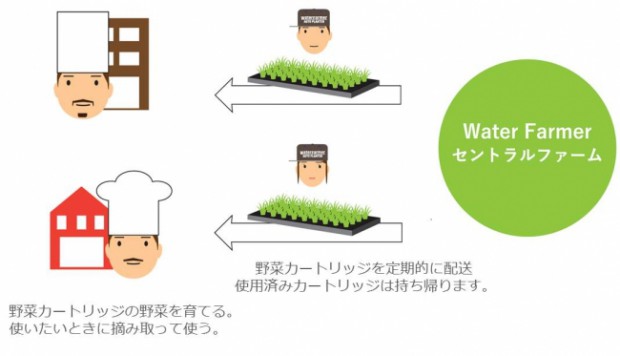 東京エレクトロン、植物工場を活用した究極鮮度の「今摘み野菜」を届けるサービス「Water Farmer」を提供開始