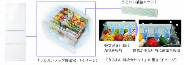 東芝ライフスタイル、低湿度になると野菜室の湿度を高める冷凍冷蔵庫を発売