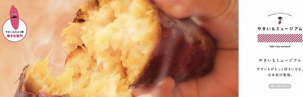 茨城県にサツマイモの体験型農業テーマ―パークがオープン。レンタル農園や焼き芋の博物館まで整備