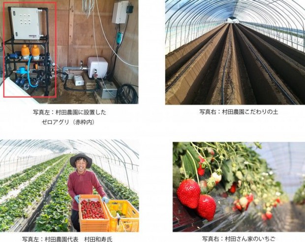 ルートレックによる次世代養液土耕システム「ゼロアグリ」、日本有数のイチゴ生産者と同等の収穫量・食味を実現