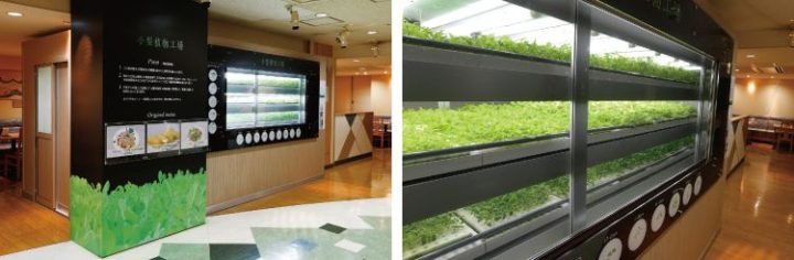 三菱重工業、自社ビル内で太陽光発電による植物工場「店産店消型レストラン」を開設