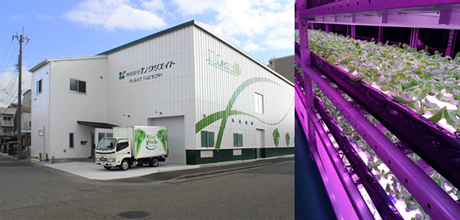 神戸製鋼所、高機能抗菌技術ケニファインを農業分野へ応用。新設した植物工場にも導入