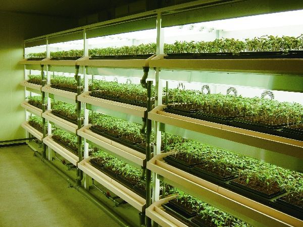 三菱樹脂グループと千葉大、2009年の公募事業にてトマトの植物工場を建設