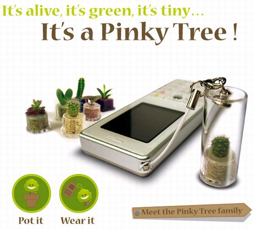 可愛い・癒し系のマイクロ植物「Pinky Tree」 購入を通じて”エコ”にも貢献