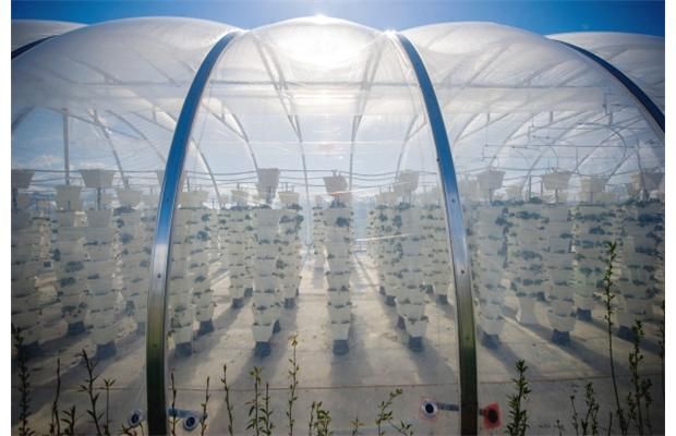 カナダ、ドーム型植物工場・イチゴの垂直式栽培の試験稼働へ