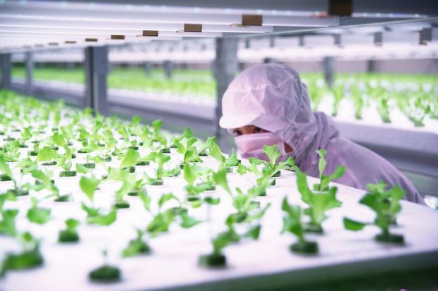 植物工場ベンチャーのファームシップ社が１億円の資金調達。栽培ノウハウの確立・システム開発を加速