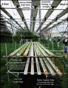 セプトアグリ・千葉工業大学など共同研究による「水耕ソーラーシェアリング」に関する発表資料を公開