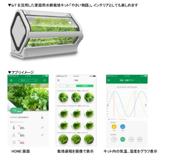 沖縄セルラー電話、家庭用IoT水耕栽培・植物工場キット「やさい物語」を発売
