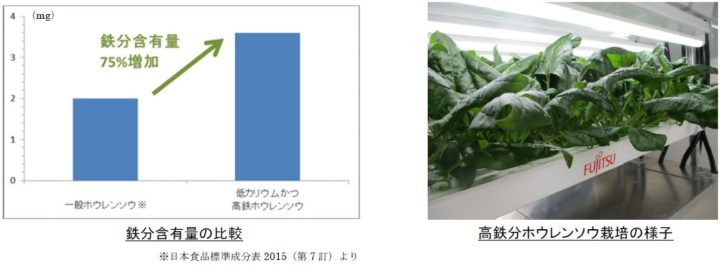 富士通など、植物工場にて鉄分７５％アップした低カリウム・ホウレンソウを実現