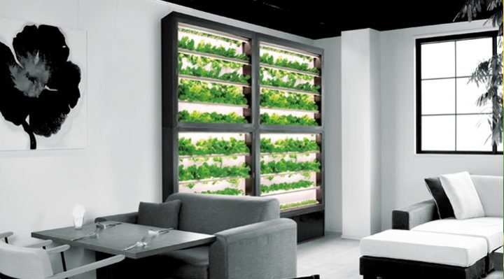 ディーグラット、超薄設計・壁面型の植物工場「SALAD WALL サラダウォール」の販売開始