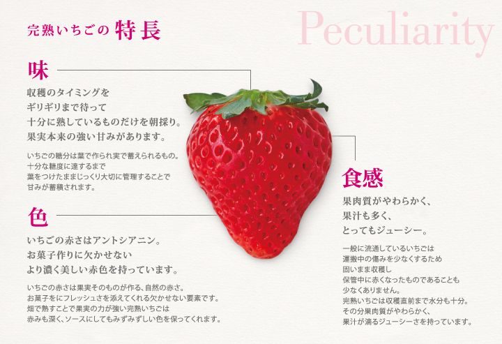 谷常製菓、自社生産の朝摘み・完熟イチゴを使用したジェラートを夏季限定販売