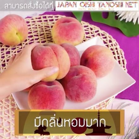タイ・バンコク拠点のベンチャーEmpag、タイで日本食材のネット販売を行うアライドコーポレーションと業務提携