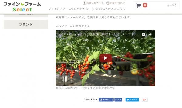 日本初！カメラで農作物の成長を観察できる産直ショッピングサイト「ファイン・ファーム セレクト」をオープン