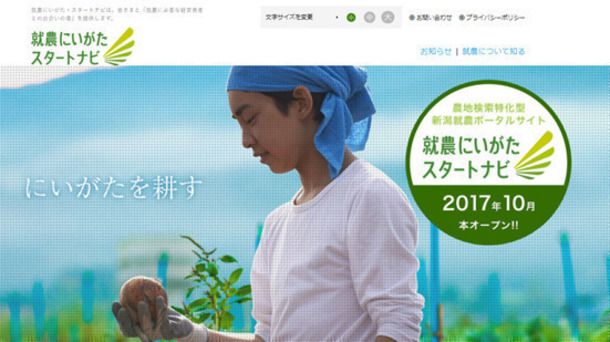 アグリメディア、新潟での就農支援サイト「就農にいがた・スタートナビ」をオープン