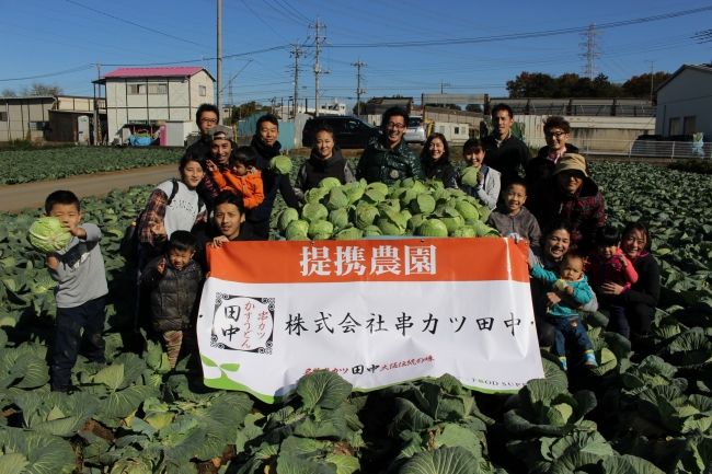 串カツ田中によるCSR活動「キャベツ リサイクル サークル」初収穫