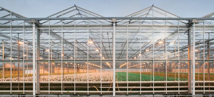 都市農業技術で世界の先端を行くオランダ。AVFサミットから考える持続可能な農業④