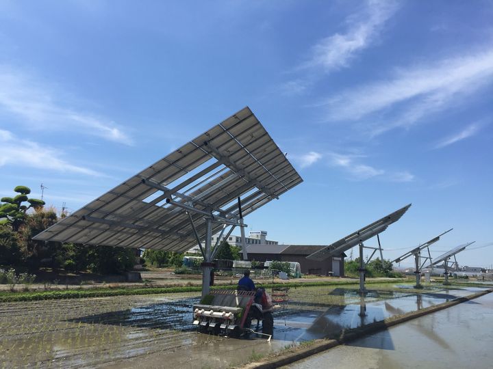 エグテックによるソーラーシェアリング・追尾式太陽光発電を水田に設置